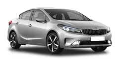 Cerato Classic